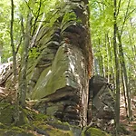 Hauer 3* Bollendorf