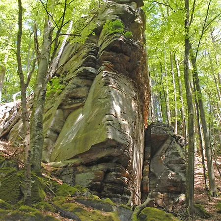 Hauer 3* Боллендорф