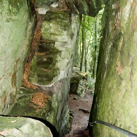 Hauer Боллендорф