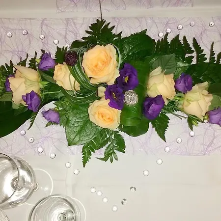 Отель Hauer Боллендорф