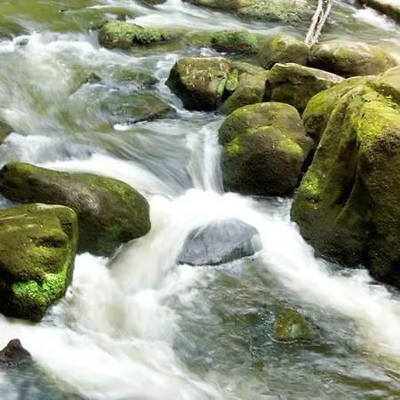 Hauer Отель Боллендорф