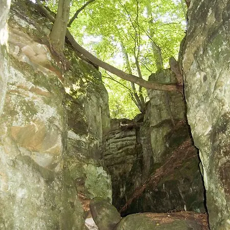 Hauer 3* Bollendorf