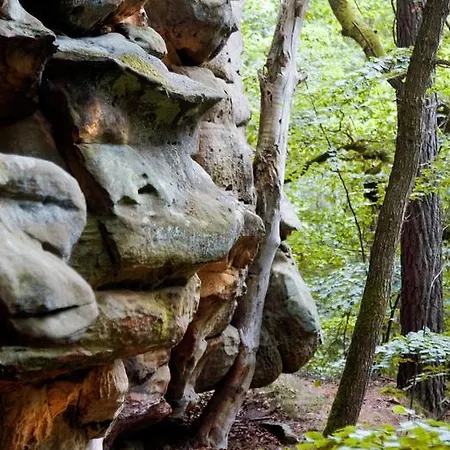 Hauer Otel 3*