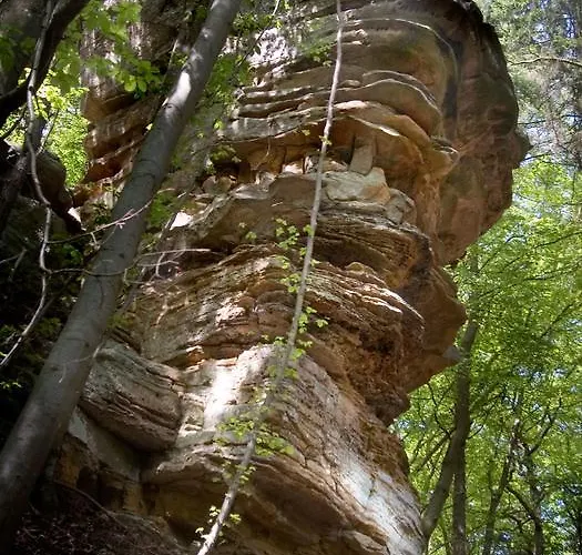 Hauer Hotel Bollendorf