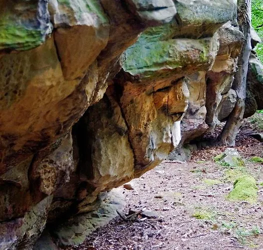 Hauer Hotel Bollendorf